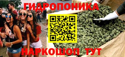 трава Аргун