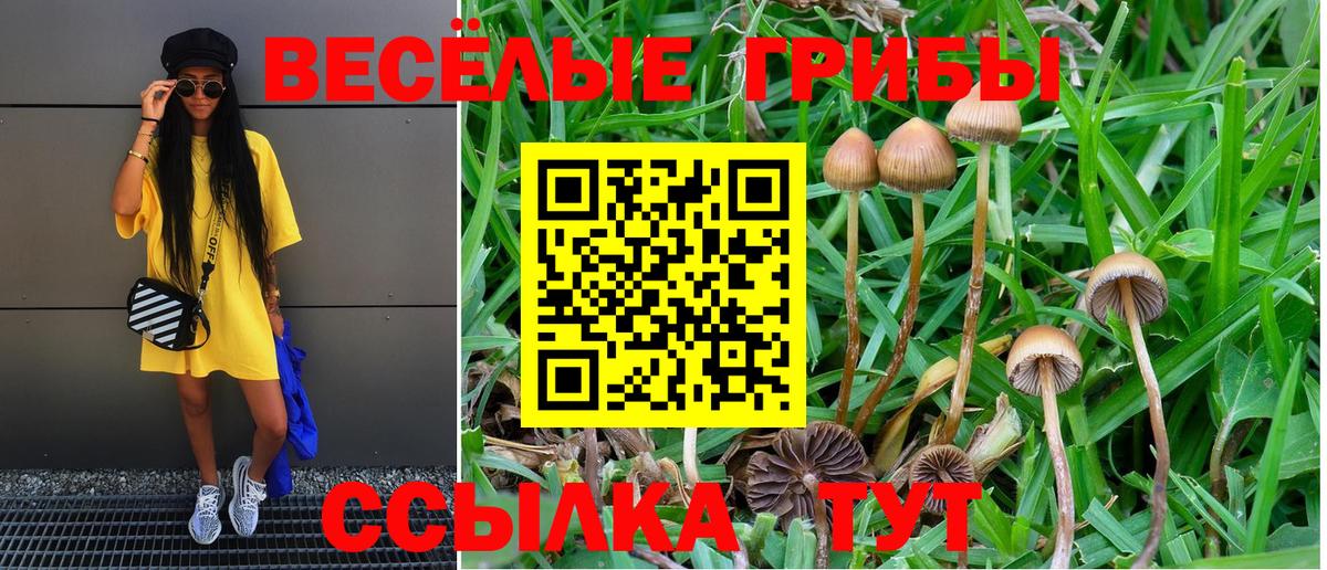 как найти наркотики  Галлюциногенные грибы GOLDEN TEACHER  Вход с VPN  Вичуга 